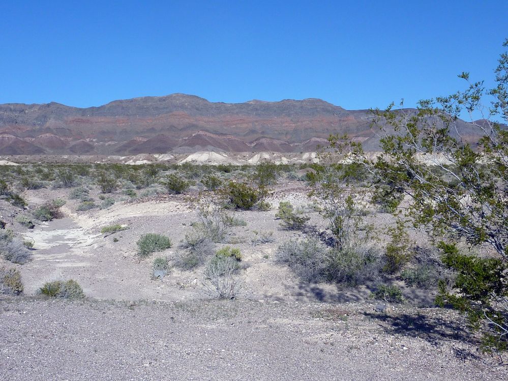 vallée de la mort  (13).JPG